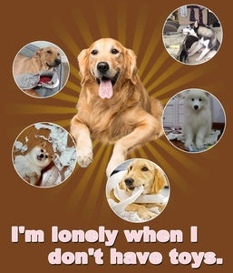 Dogs Push Ball Toy Pet