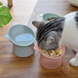 Pet Feeder Bowl