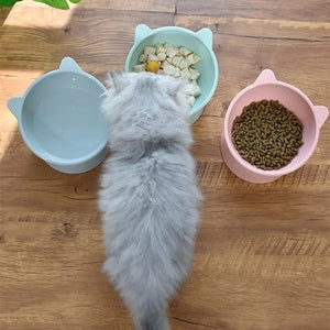 Pet Feeder Bowl