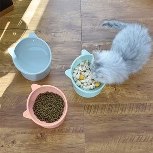 Pet Feeder Bowl